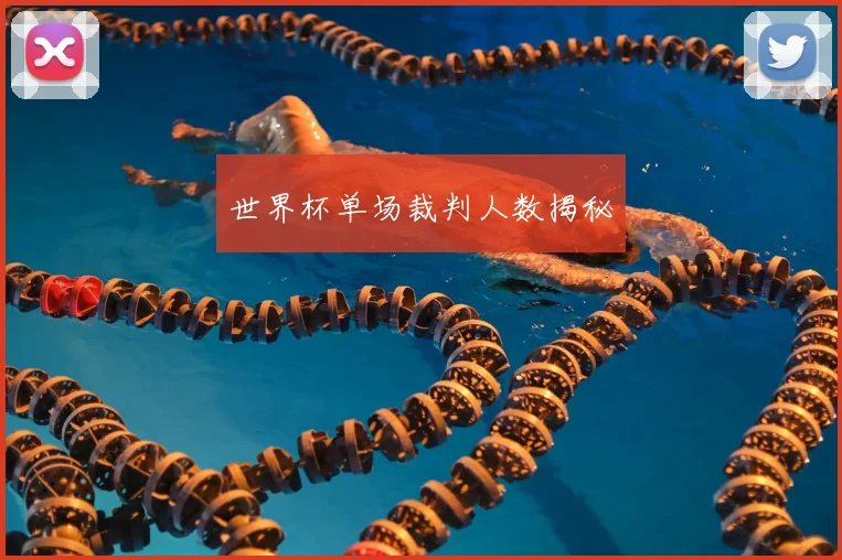 世界杯单场裁判人数揭秘
