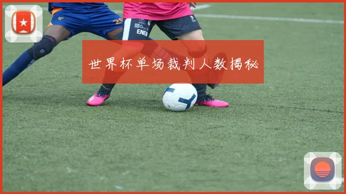 世界杯单场裁判人数揭秘