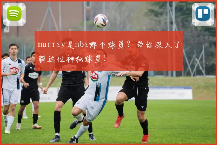 murray是nba哪个球员？带你深入了解这位神秘球星！