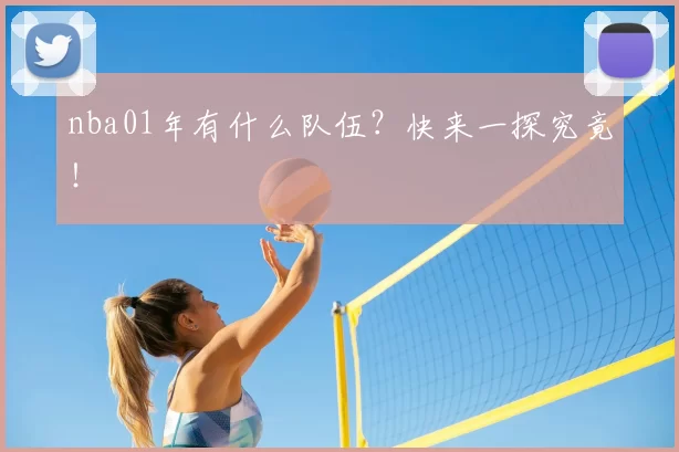 nba01年有什么队伍？快来一探究竟！