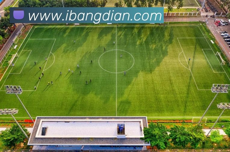 多媒体互动体验